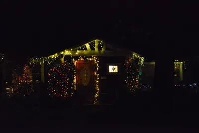 DSC_5803 (Large).JPG